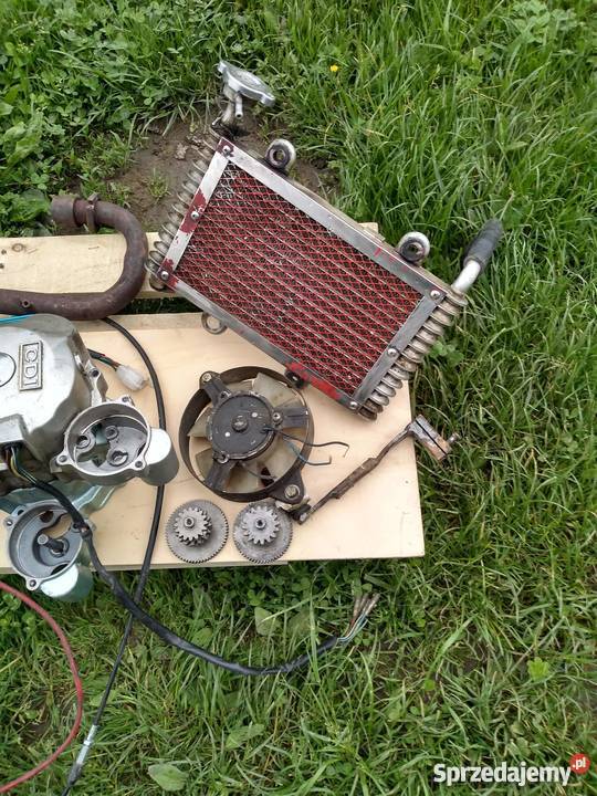 Silnik quad 250cc ciecz sprawny dużo dodatków podkarpackie Lesko