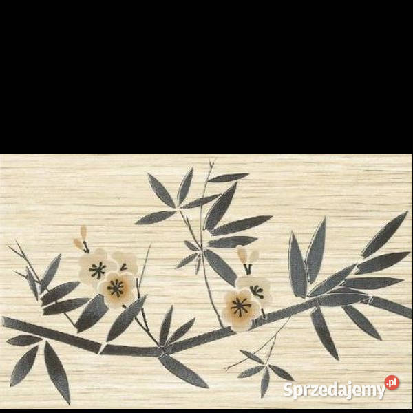 Dekor Nelia bianco Inserto 25 x 40 Kwadro Płytki ścienne zachodniopomorskie Białogard