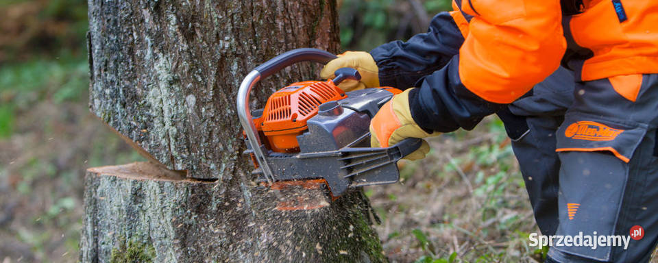 OLEOMAC GS 630 PROFI PROFESJONALNA PIŁA PILARKA