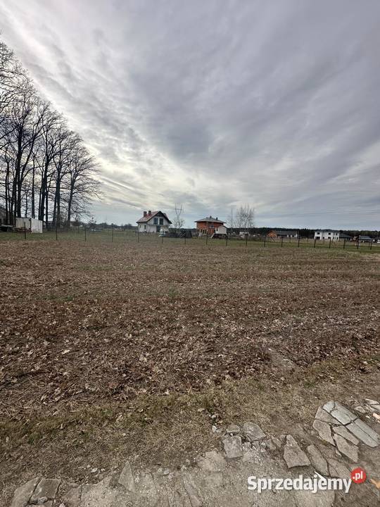 Działka z potencjałem zabudowy Czerniejewo 1193 wielkopolskie