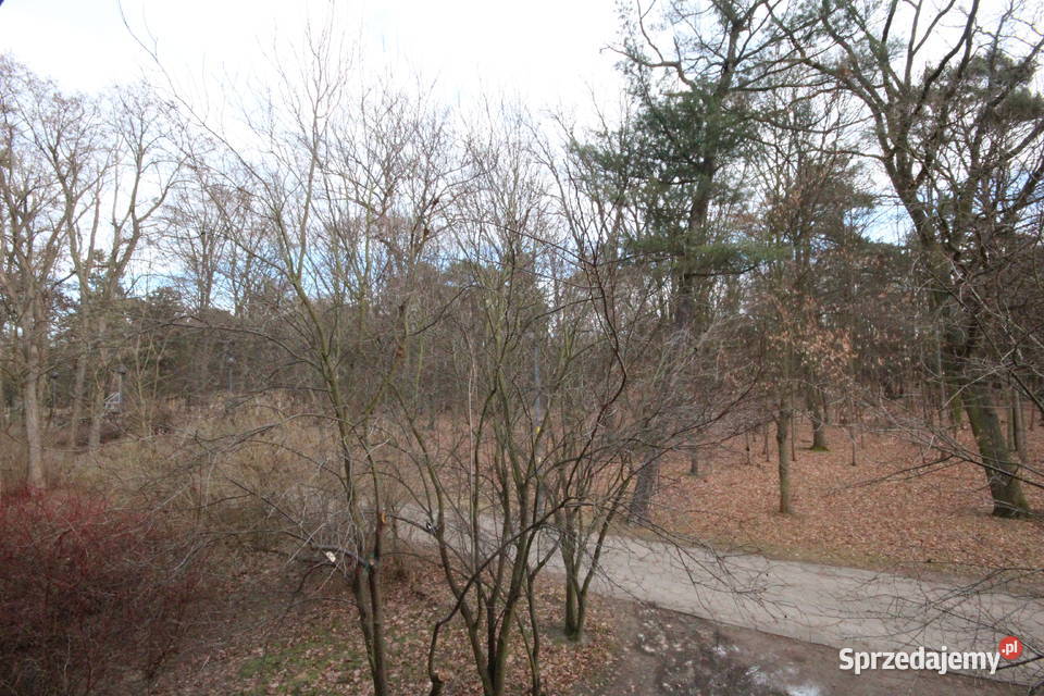 1pok 24met Parku Prackiego TARAS REMONCIE Wrocław