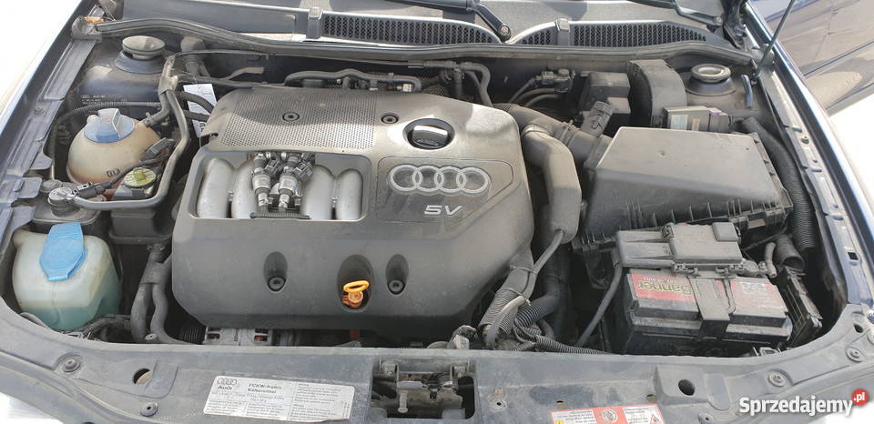 Audi A3 8L 18 125 Benzynagaz granatowy wielkopolskie Poznań