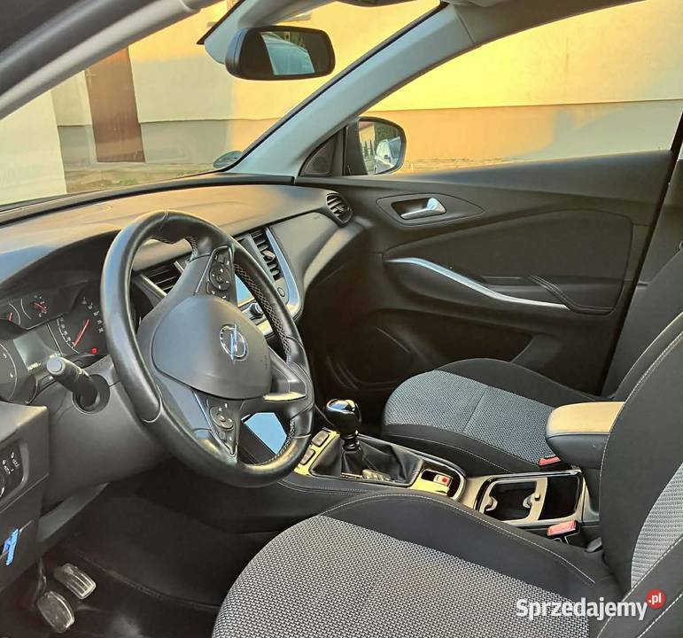 Opel Grandland X 16 CDTI 120 2018 Diesel 168 Rok produkcji 2018 Zalasowa