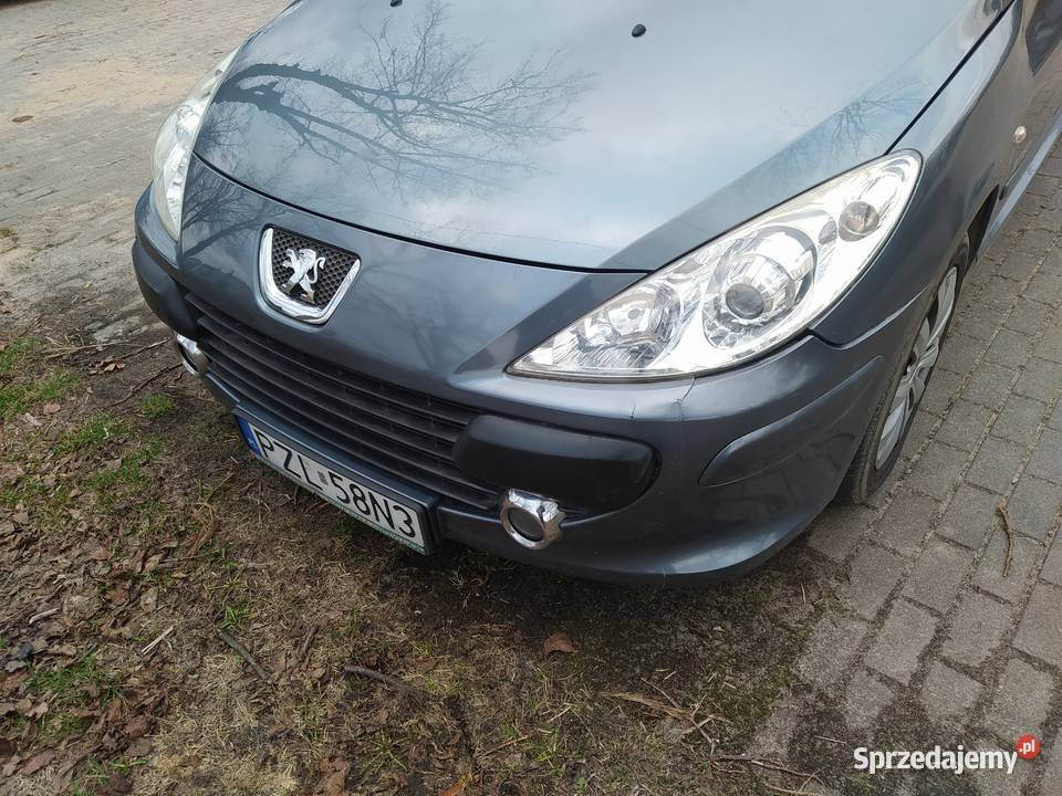 Peugeot 307 sw 7 osobowy stan szary wielkopolskie Jastrowie sprzedam