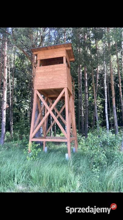 Piękna łąka w lesie około 6 ha Mikorzyce gmina asfalt Wołów