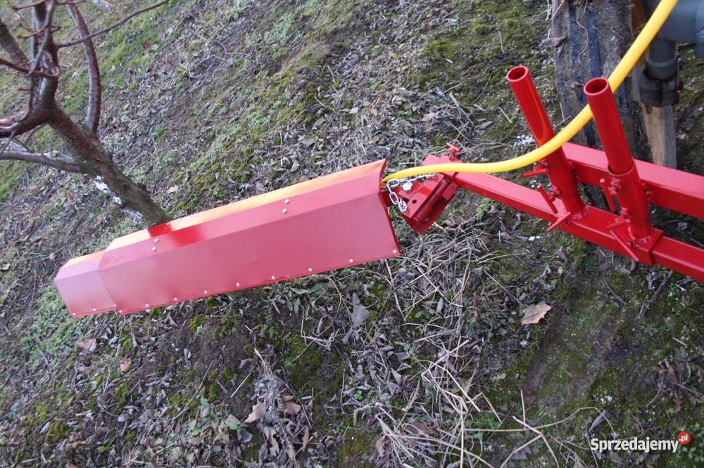 Belka herbicydowa Piaseczno