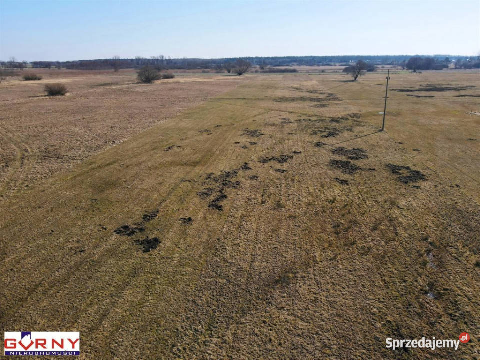 sprzedaży działki 8100m2 Świerczyńsko