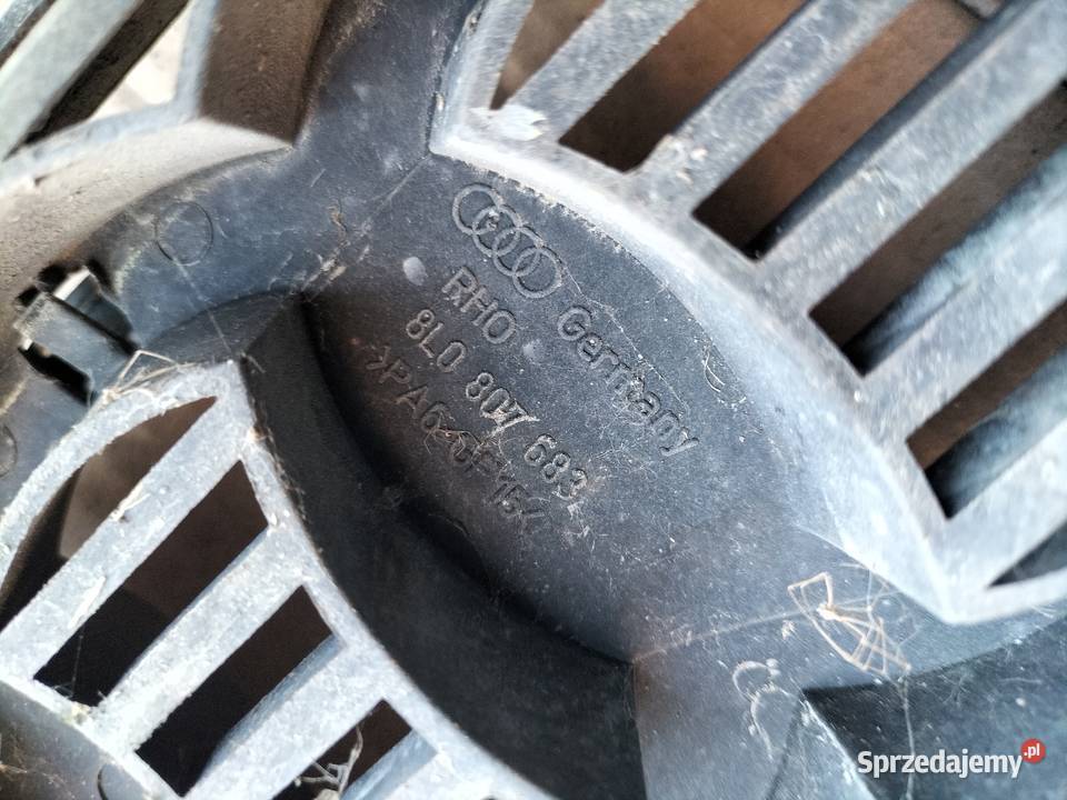 AUDI A38L A3 8L ATRAPA ATRAPKA ZDERZKA GRILL osobowe Kamień-Kolonia