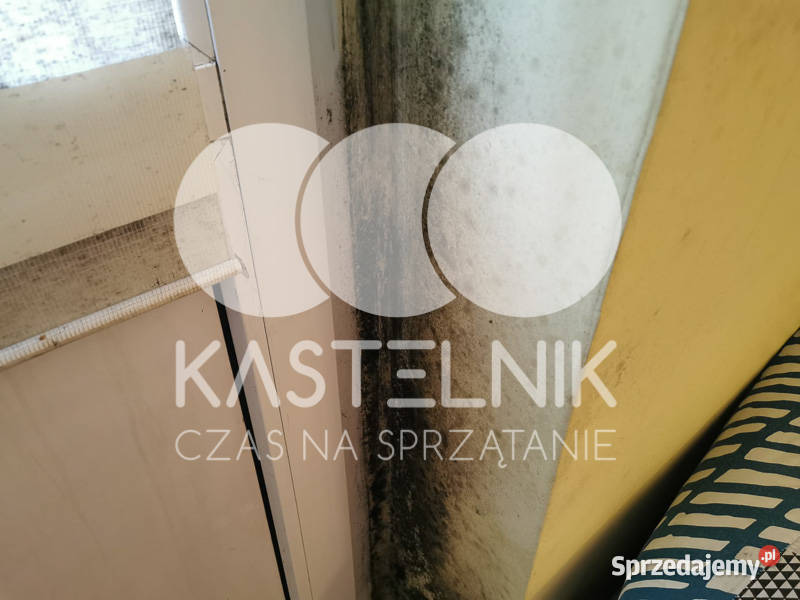 Utylizacja mebli pluskwach Niepołomice Kastelnik małopolskie