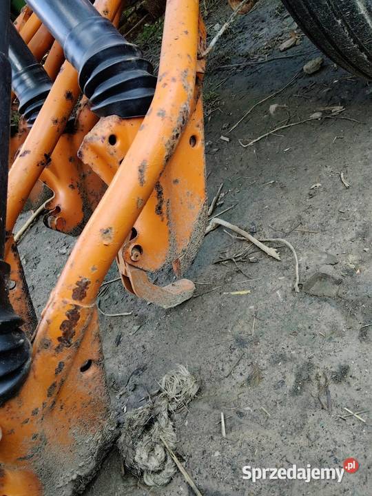 Redlice krzywe proste Amazone d7 d8 d4