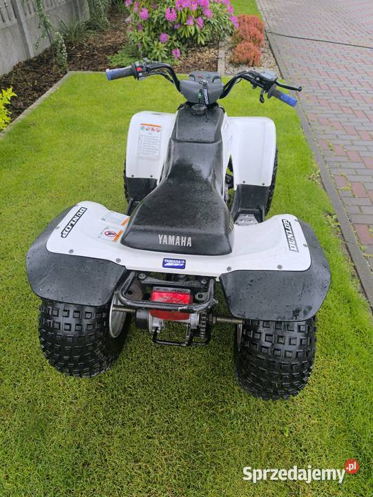 Yamaha breeze 125 quad 125 raptor Janów Lubelski