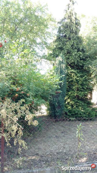 Działka ROD Warszawa Jedność 500 m2 na sprzedam