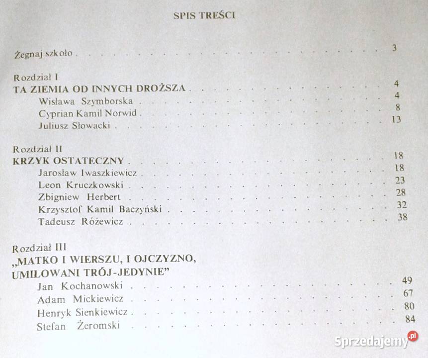 Język polski Zeszyt ćwiczeń kl 8 Elżbieta Chełm sprzedam