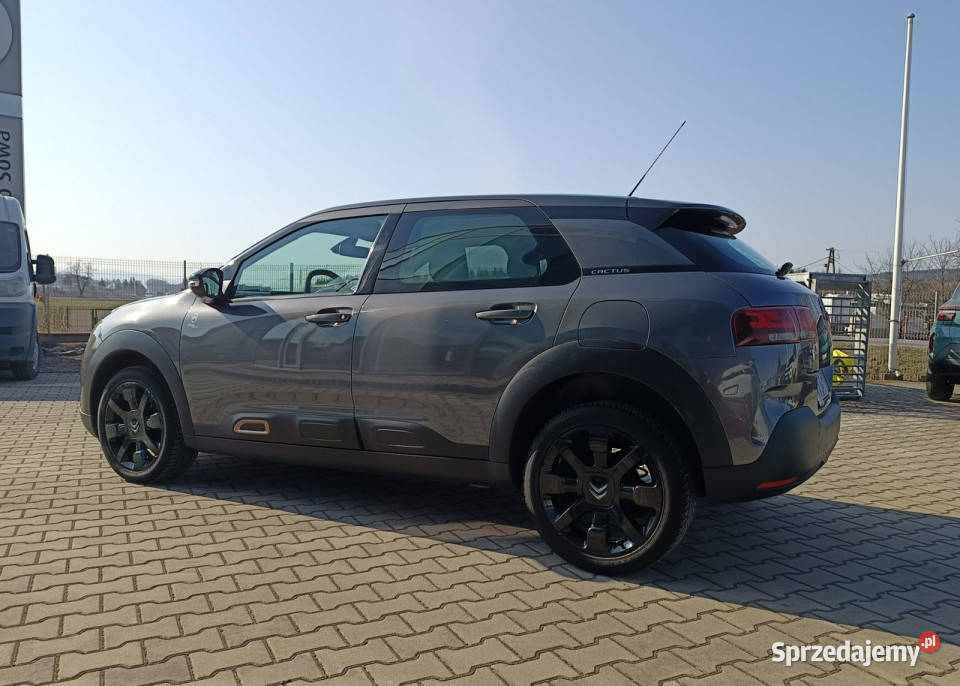 Citroen C4 Cactus Orgins 12 110 Salon 1 Nowy Sącz