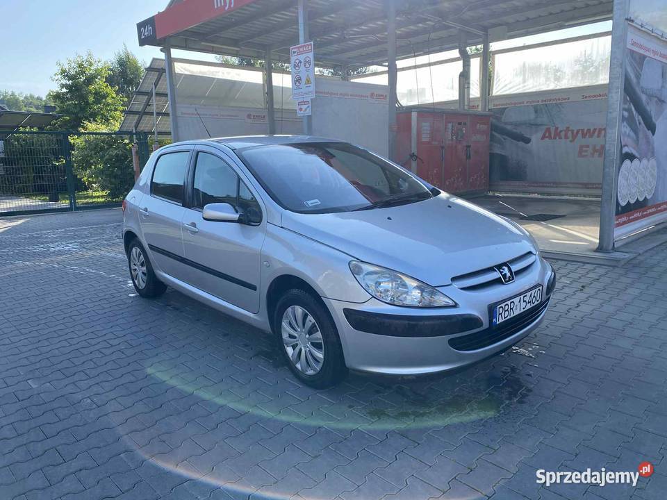 Peugeot 307 16 benzyna nieuszkodzony Lutcza