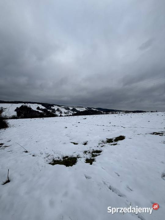 Działka 40 a z warunkami zabudowy Korzeniec sprzedam