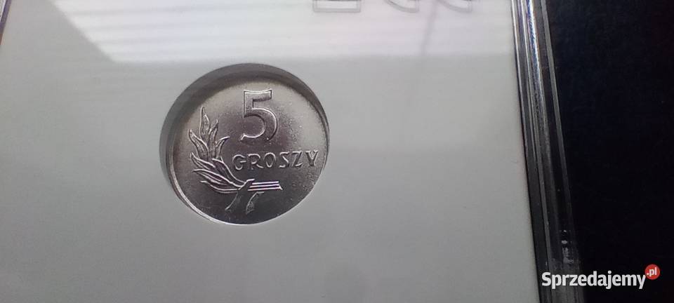 Stare monety 5 groszy 1962 MS68 PRL Polska sprzedam