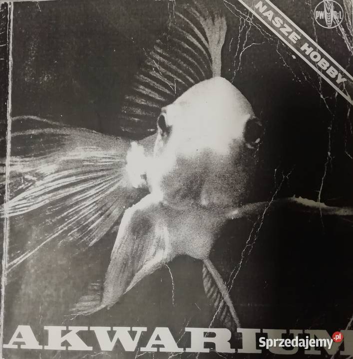 Akwarium nasze hobby Kraków