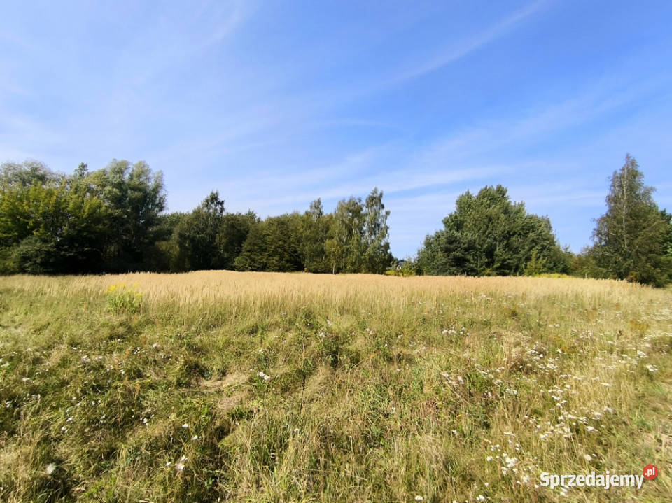 DZIAŁKA USŁUGOWA 2000 m KOBYLIN gmina GRÓJEC