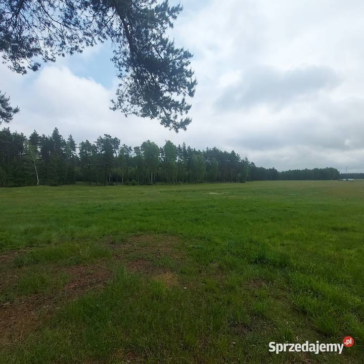 Działka siedliskowa Huta