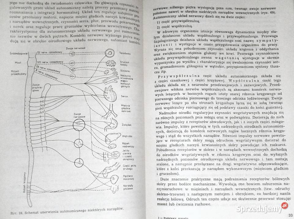 Podstawy masażu leczniczego Zygmunt Prochowicz Chełm
