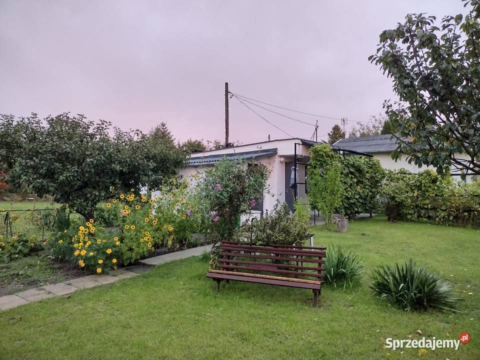 Działka ROD z domkiem 2025 Aleksandrów Kujawski sprzedam