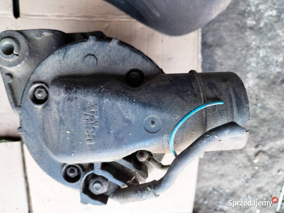 ALTERNATOR Kamień-Kolonia