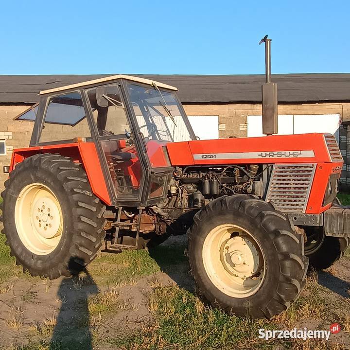 Ursus 1204 Lubraniec sprzedam