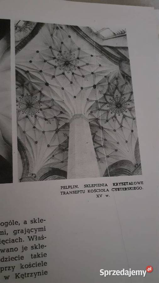 1000 tajemnic architektury Szczecin