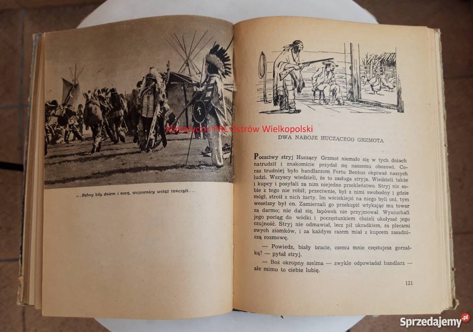 Mały Bizon Adrkady Fiedler Państwowe Wydawnictwo Bielsko-Biała