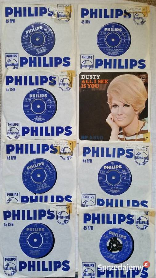 The SPRINGFIELDS Dusty Springfield Spencer Davis 3 i więcej Puławy