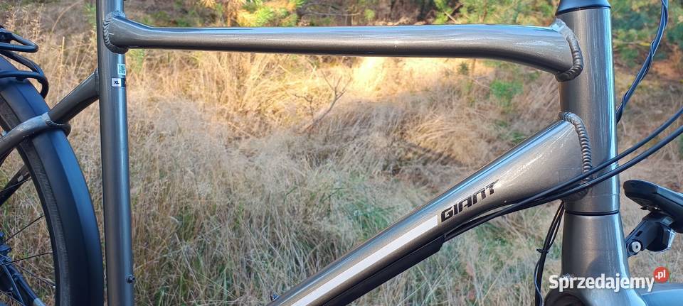 Rower Giant Any Tour CS Toruń