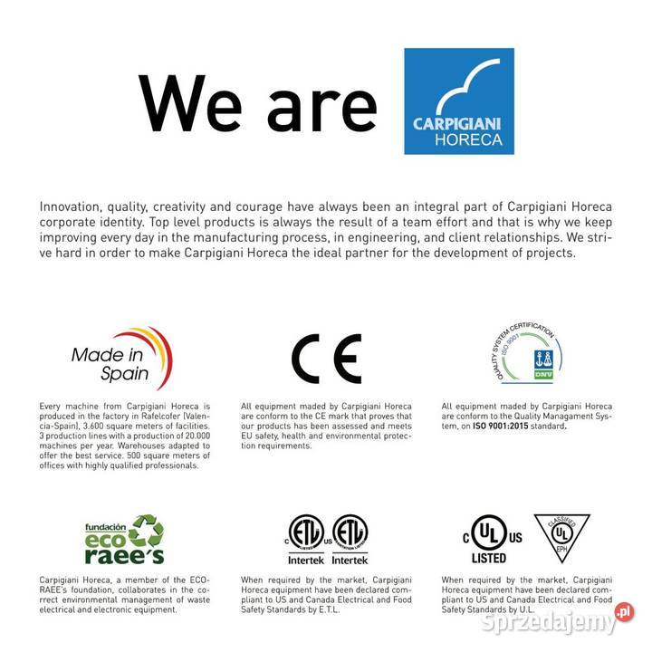 Wydajna maszyna do shake CARPIGIANI 1x20l GBG Sandomierz