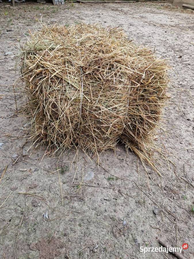 Siano tegoroczne Trawy, słoma podkarpackie Mała