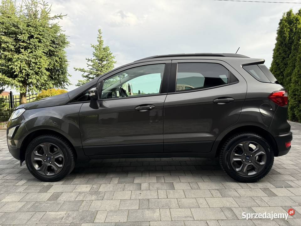 Ford ecoSport bezwypadkowy serwisowany w ASO