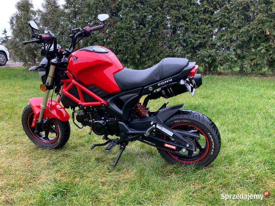 Romet pony 50cc gaźnik motorynka czterosuwowy kujawsko-pomorskie Grudziądz