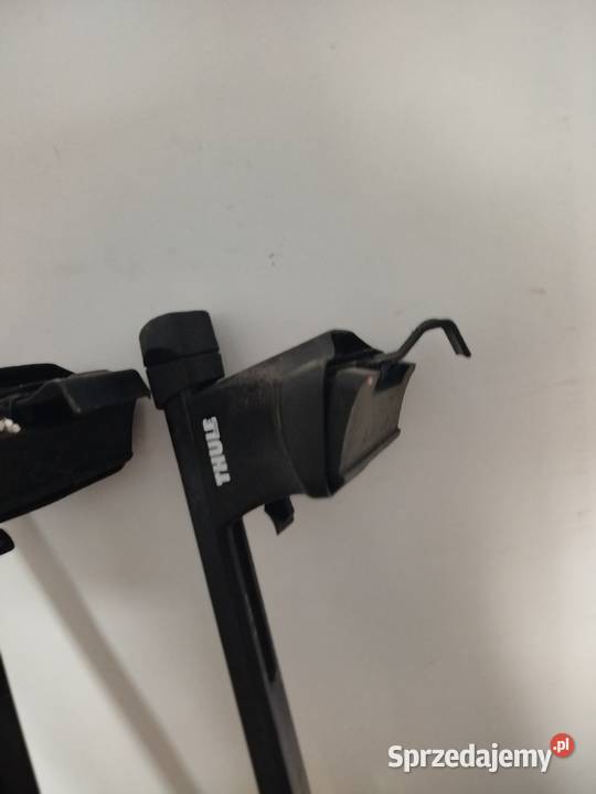 Belki dachowe thule małopolskie Bochnia