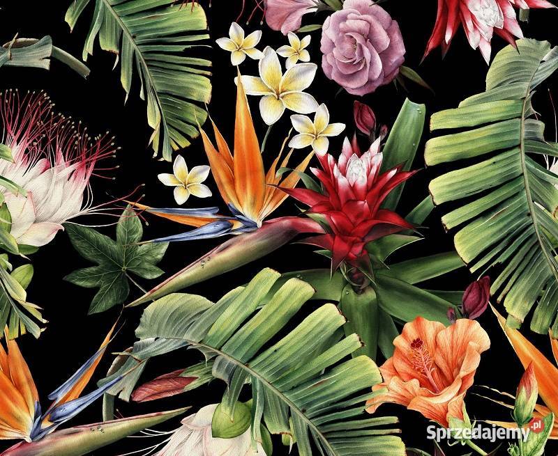 Eden tkanina tapicerska dekoracyjna Włocławek