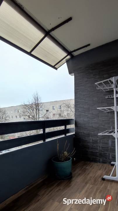 Sprzedam M4 gotowe do zamieszkania zaraz Liczba pokoi 3 Sprzedaż mazowieckie Żyrardów