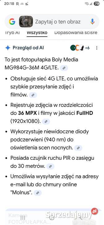 Fotopulapka nowa Kamienna Góra