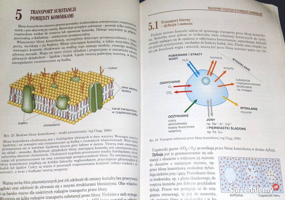 Biologia 1 Podstawy życia Tajemnice ludzkiego Chełm