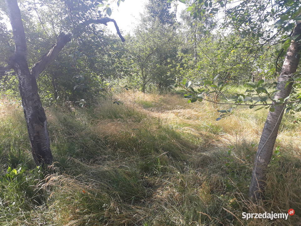 Działka ROD Wodnik Obornicka Różanka Wrocław sprzedam