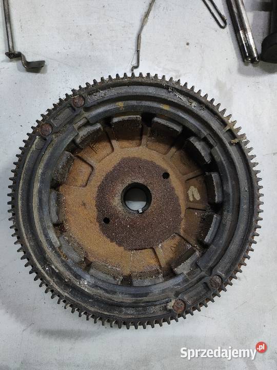 Koło zamachowe magnesowe briggs Stratton Wiele