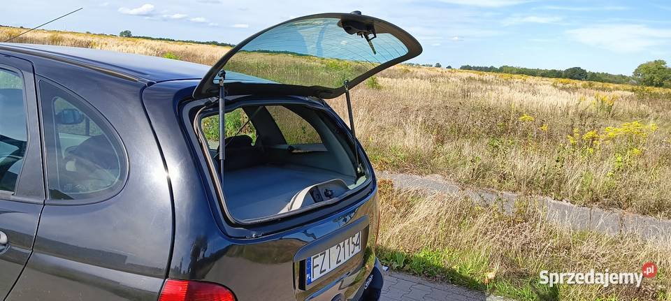 Renault Megane Scenic 19 DTI Klimatyzacja Hak 285000km Żary sprzedam