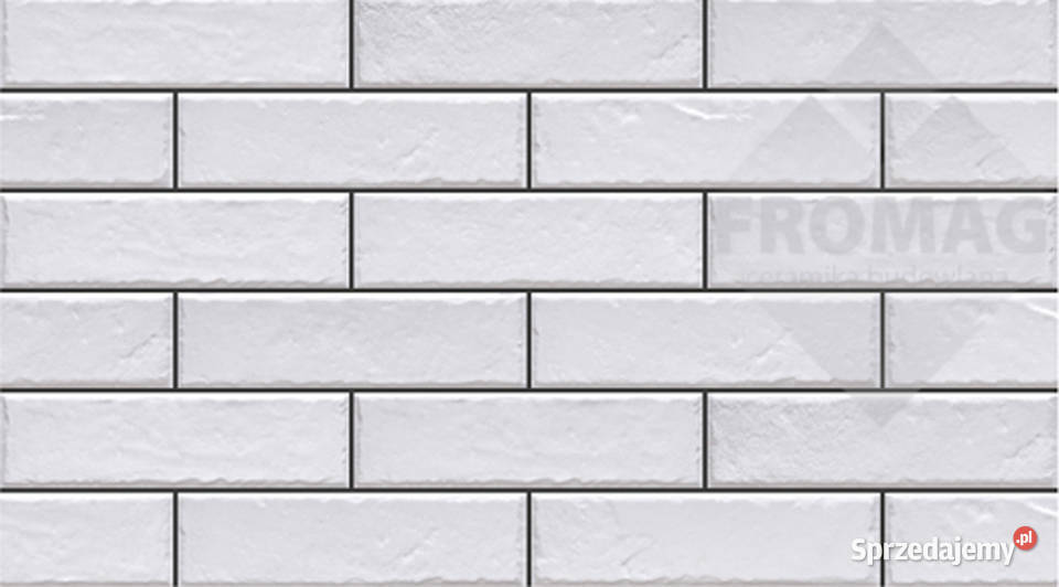 Biała płytka ścienna Elewacja szkliwiona Biały