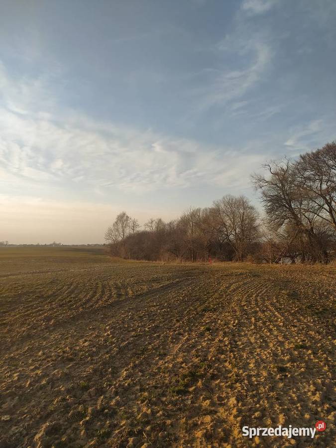 Działka jeziorem w powiecie rypińskim z linią kujawsko-pomorskie Trąbin-Rumunki sprzedam