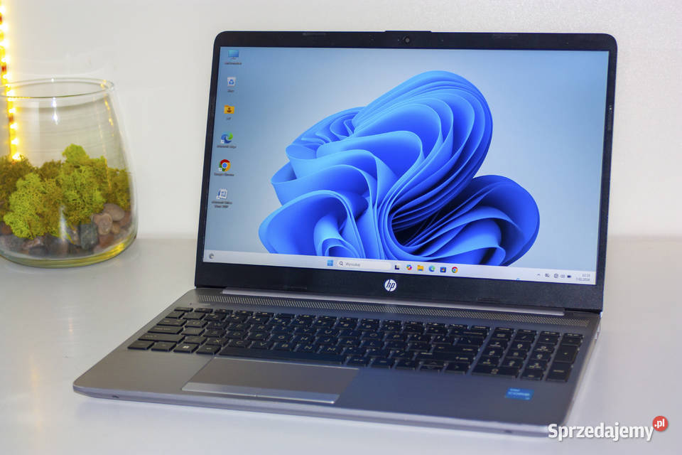 Laptop HP 155 i311gen 8GB 250GB FHD Bat5h Win11 Intel Core i3 Gdynia
