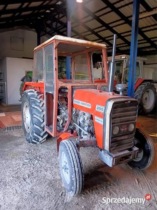 Sprzedam ciągnik Massey Ferguson 255 Oława