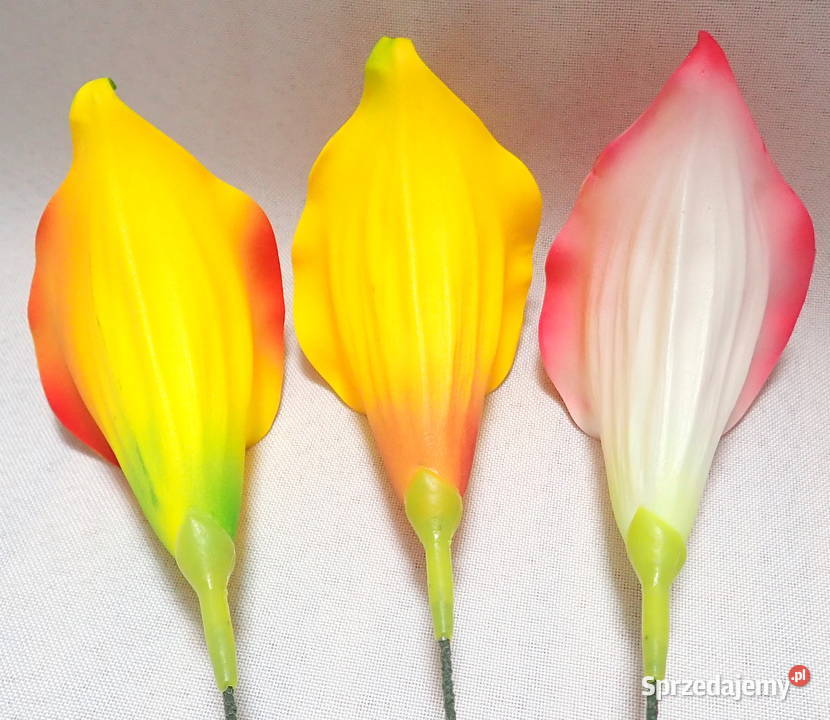 Kalia sztuczna wyrobowa piankowa do bukietów 6 wielokolorowy Siewierz