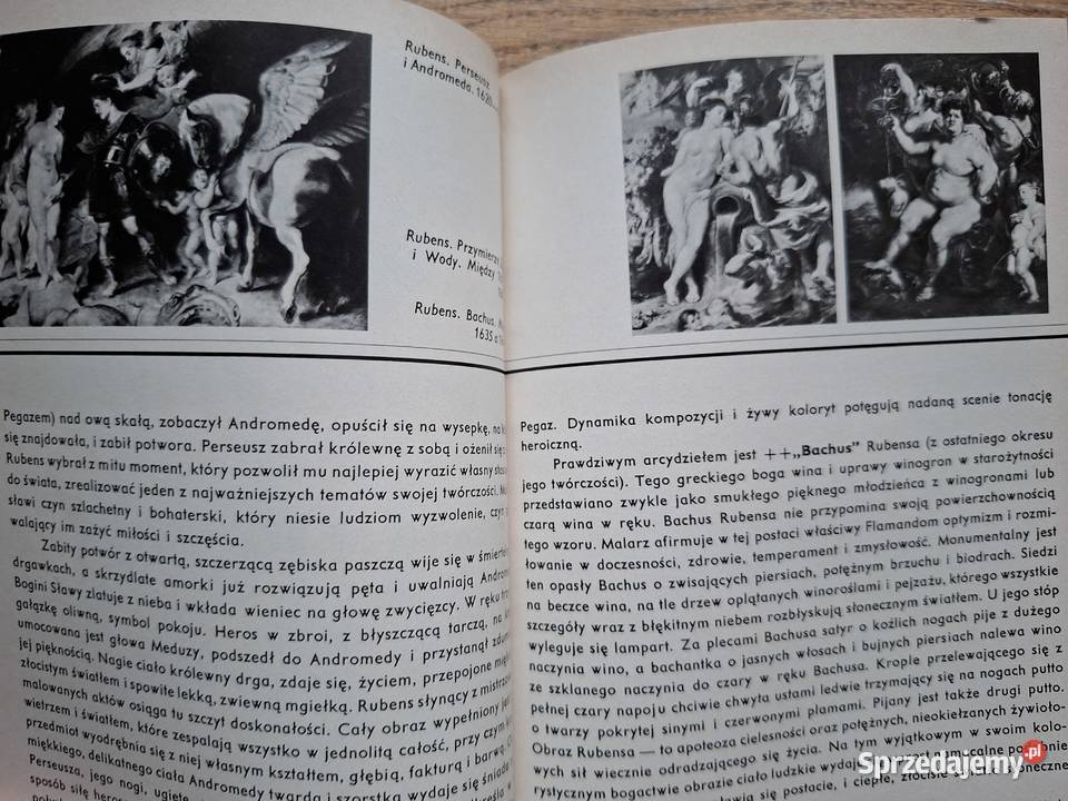 Ermitaż z przewodnikiem w rękuJ Szapiro twarda